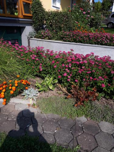  Haus Kloibhofer in Grein