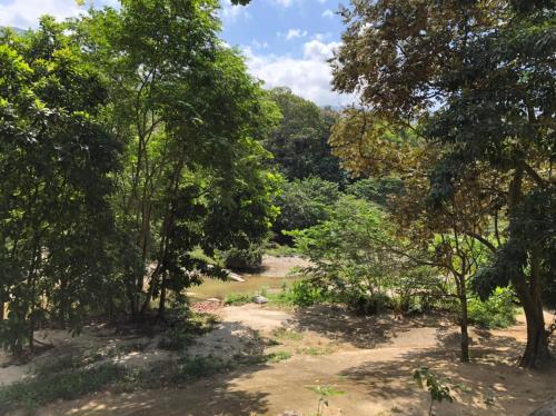 Eco Hostal Yuluka