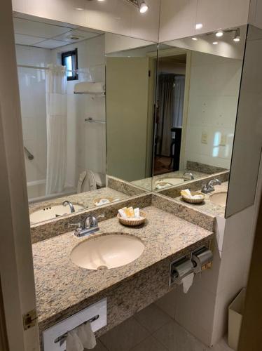 Rose Hotel - image 3