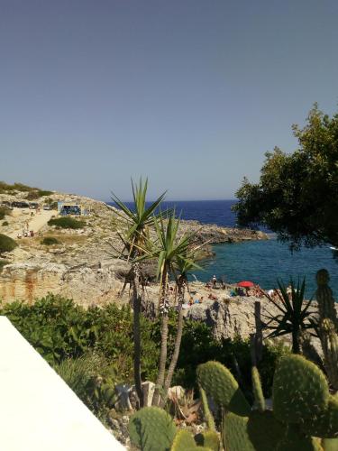 B&B Cuore del Palio