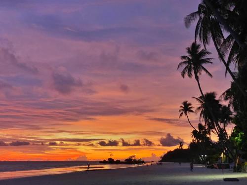 ジョニーズ ビーチ リゾート5