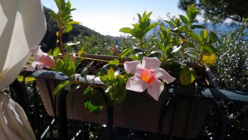 La Casa dei Limoni in 熱那亞海濱