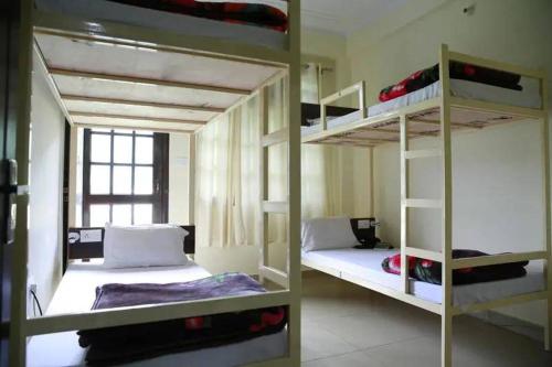 Hotel Satya Palace