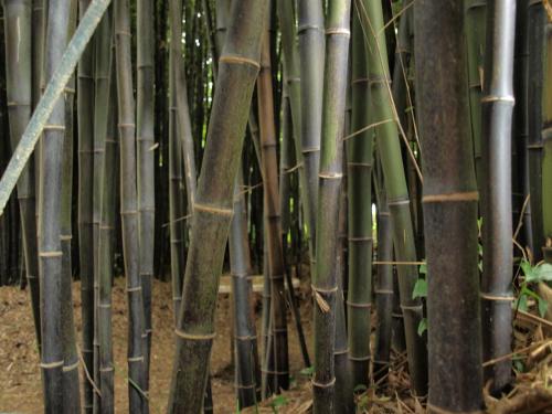 Balneario Hotel Davila