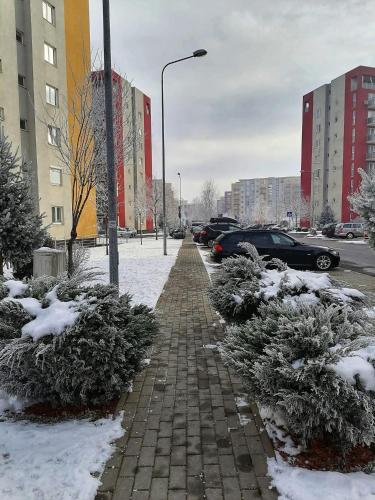 Apartment Richy Brasov - image 7