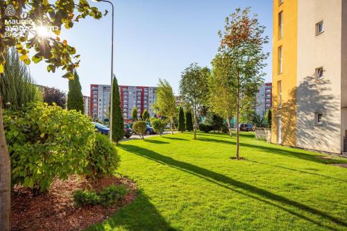 Apartment Richy Brasov - image 12