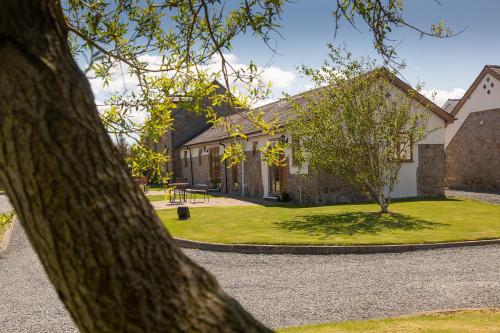 Tryfan Holiday Cottage