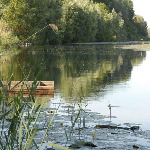 Atpūtas iespējas, Korcsetta Vendégház (Korcsetta Vendeghaz) in Dávod