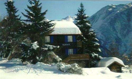 Chalet Alpina - Riederalp