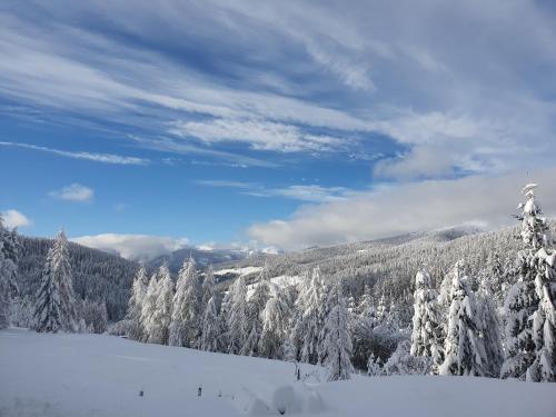 Almzauber Chalets Hochrindl