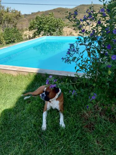  Casa Barradinhas, Unterkunft in Vale Fuzeiros