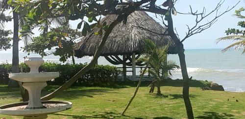 Сад, Cabaña PEDREGAL (Cabana PEDREGAL) in Puerto Escondido