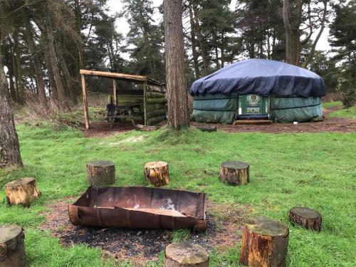 Penbedw Uchaf Estate - Rural retreats, tennis 5