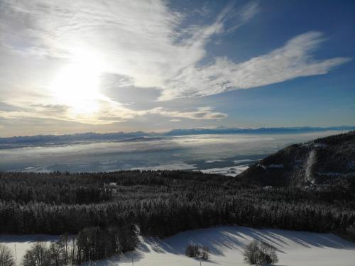 Double Room with Mountain View