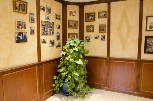 Hotel Algete