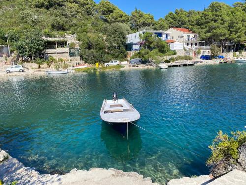 Izabela apartment with swimming pool