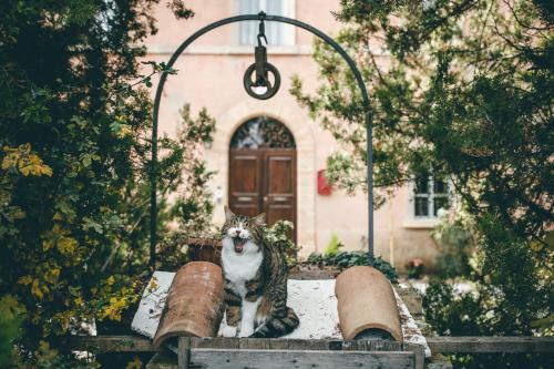  B&B Ca' Paiardo, Pension in SantʼAngelo in Vado bei Belforte allʼIsauro