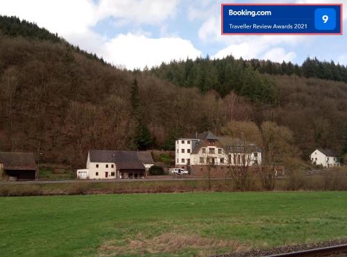 die rote Ente in Mürlenbach, Deutschland