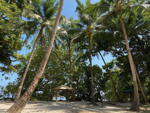 Alrededores, Emerald Gecko Resort-Havelock Isl& (Emerald Gecko Resort-Havelock Island) in Islas Andamán y Nicobar