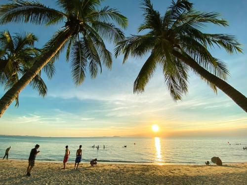Sea Sand Trees in Chonburi