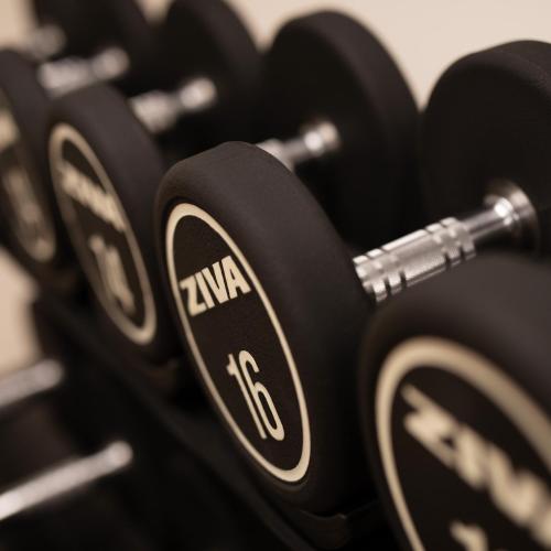 Comwell Copenhagen Portside Dolce by Wyndham - image 13