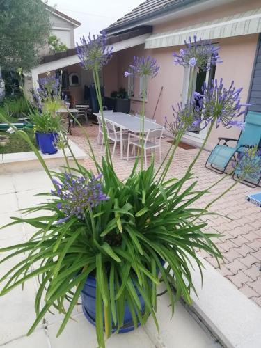 La Villersoise gîte à louer LADOIX SERRIGNY