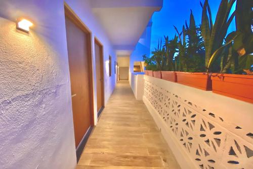 Vista exterior, Casa Palo Verde in Cabo San Lucas