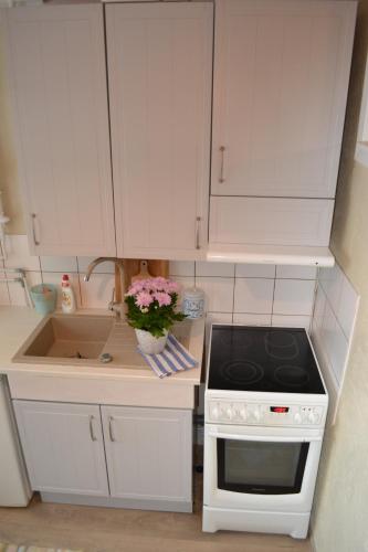 Sunny Apartment with Wall-to-Wall Desk &Tram at Door, Tallinn (photo 10)