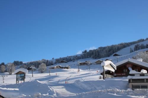 Chalet Hotel Le Mont Bisanne 4