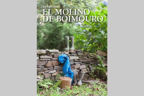  Stunning restored mill - WiFi - 10 Km from Beach in Piantes