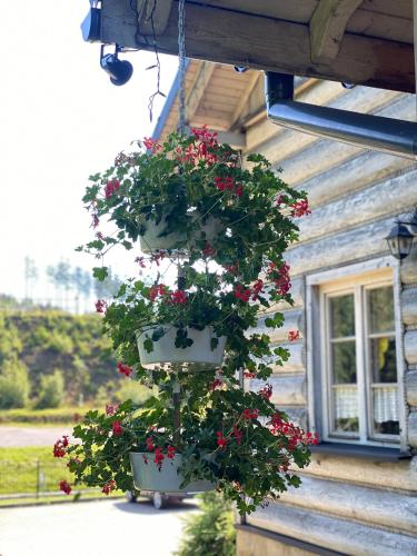 Karczma Kubalonka - image 12