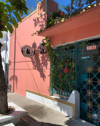 Hostel Musa Paradisiaca
