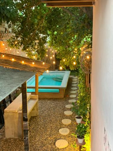 Hostel Musa Paradisiaca