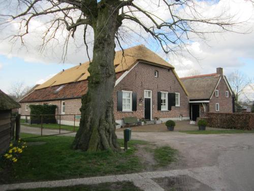  De Martiene Plats B&B & Appartement in Merselo