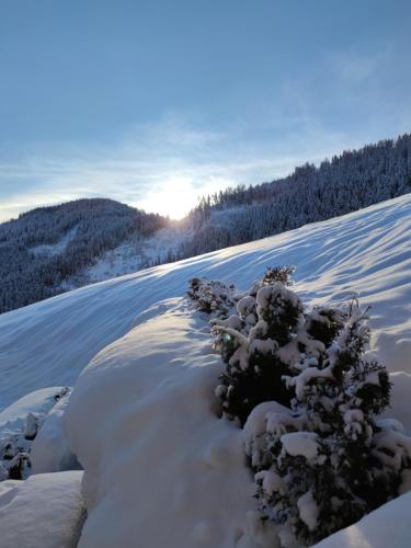 Batacör - Natures Heartbeat, San Vigilio di Marebbe (fotografie 8)