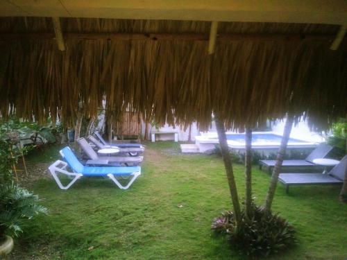 El Conde de Villa Rosa in El Macao