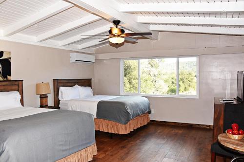 2 queen beds