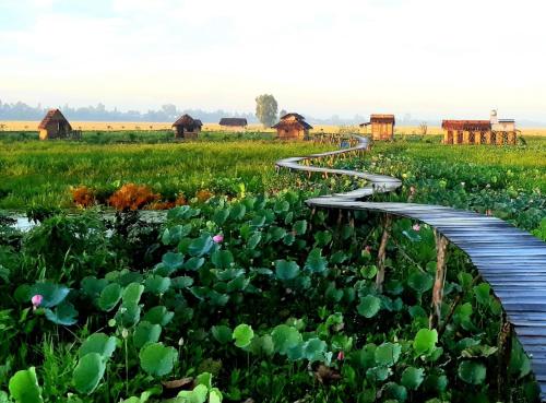 Viet Mekong Farmstay Chau Doc (An Giang)