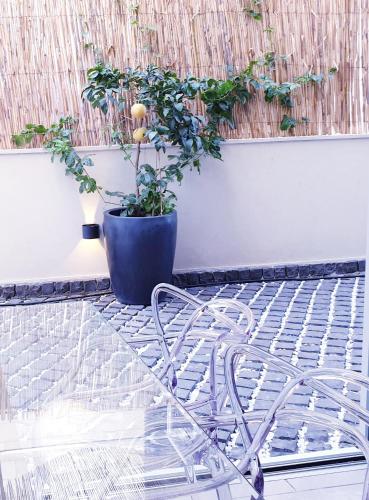 Instalações, Etis garden seafront in Bat Galim