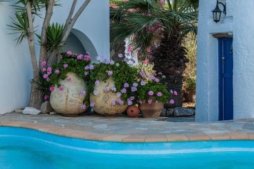 Fotilia Hotel - image 9