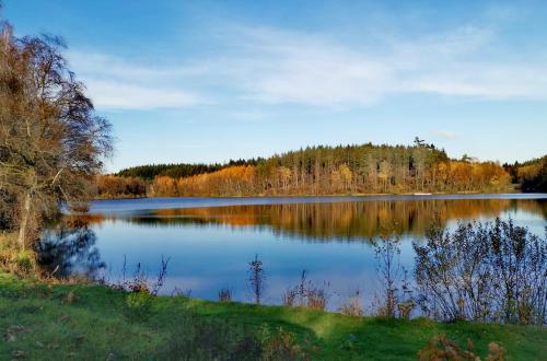 Au Bord de la Semois gîte à louer Florenville