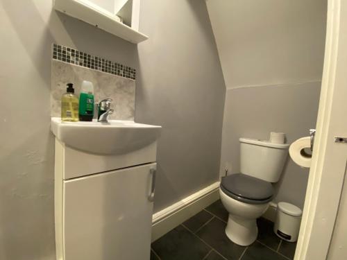 Ruskin Place by SG Property Group - image 9