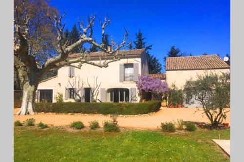 Farmhouse with private pool in the countryside of Plan d'Orgon in Provence 8 persons LS1 365 MIGNOUN - image 6