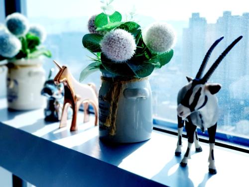 대구 Y stay 싱글룸 레스토랑