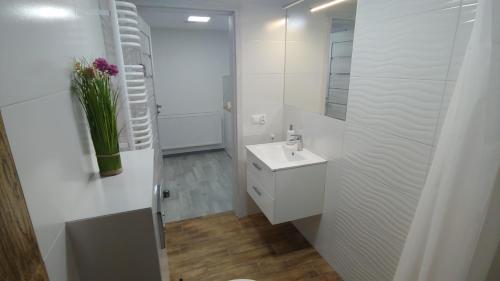 Apartament Arkadia Storczyk