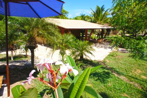 Pousada Sol e Luna - Pipa Garden - image 3