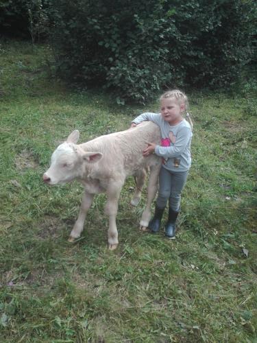 Apartment Lacklhof - Großkirchheim