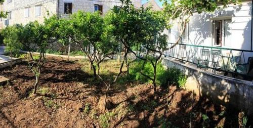 Apartment Brač - image 7