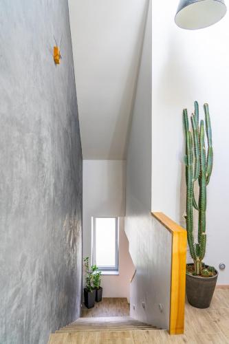 Apartmán ZA-KA 1 ubytování Litovel