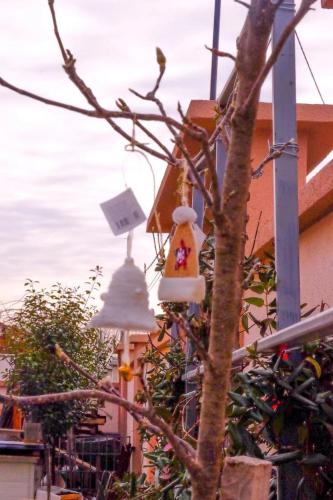 베오그라드 Asuka Apartmani 飞鸟客 4성급 게스트하우스 부대시설